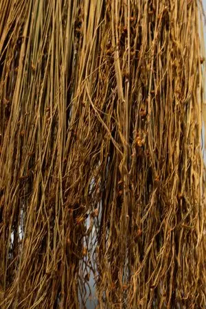 Хозяйственный инвентарь: Метла Сорго с длинной ручкой Люкс