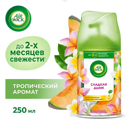 Фото №3 - Освежители воздуха: АИРВИК 250мл авт. (зап.блок) Микс дыня огурец